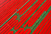 Aerial view of people working with red cloth drying lines at textile factory, Narsingdi, Bangladesh.