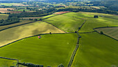 Luftaufnahme von üppig grünen Feldern und sanften Hügeln in einer ruhigen Landschaft, Milton Abbot, England.