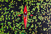 Aerial view of travel person paddling in wild river with red kayak, shot in Labanoras, Lithuania.