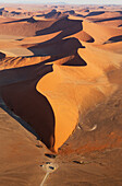 Luftaufnahme von Sanddünen in der Namib-Wüste. Die Kameldornbäume (Acacia erioloba) wachsen entlang des trockenen Flussbettes des Tsauchab-Flusses. Am Abend, Namib-Naukluft-Nationalpark, Namibia.