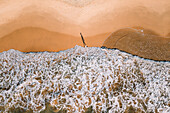 Aerial view of woman body in silhouette walking on the beach in Tangalle, Sri Lanka.