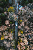 Luftaufnahme von oben auf ein silbernes Auto, das im Wald in der Nähe von Kaunas, Litauen, abseits der Straße fährt.