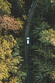 Luftaufnahme von oben auf ein silbernes Auto, das im Wald in der Nähe von Kaunas, Litauen, abseits der Straße fährt.