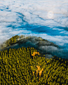 Aerial view of forest and cloud coverage in La Palma near Brena Baja, Canary islands, Spain.