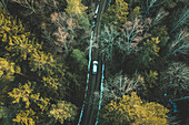 Luftaufnahme von oben auf ein silbernes Auto, das im Wald in der Nähe von Kaunas, Litauen, abseits der Straße fährt.