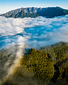 Aerial view clouds between mountains and forest in La Palma island, Canary Islands, Spain.