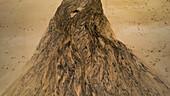 Aerial view of abstract sand patterns and textures at Eoropie Beach, Ness, Isle of Lewis, Scotland.