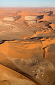 Luftaufnahme von Sanddünen in der Namib-Wüste. Die Kameldornbäume (Acacia erioloba) wachsen entlang des trockenen Flussbettes des Tsauchab-Flusses. Am Abend, Namib-Naukluft-Nationalpark, Namibia.