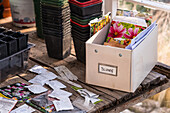 Aufbewahrungsbox mit Blumensamen und Pflanztöpfen im Gewächshaus