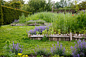 Holzgefasste Blumenbeete im Garten