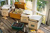 Samenaufbewahrungskisten und Anzuchtschalen auf Holztisch im Gewächshaus