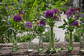 Ornamental onion, cranesbill blue and white, garlic mustard, lamb's ear in various bottles