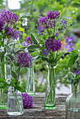 Ornamental onion, cranesbill blue and white, garlic mustard, lamb's ear in various bottles