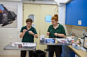 Veterinary staff preparing medication