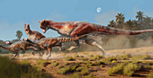 Carnotaurus dinosaurs hunting, illustration