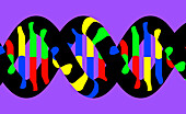 DNA molecule, illustration