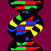 DNA molecule, illustration