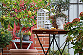 Zitronenbaum und dekorative Büste auf Terrasse vor Backsteinwand