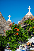 UNESCO World Heritage site Rione Monti trulli district in Alberobello, Puglia, Italy
