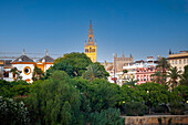 Die glitzernden Gebäude von Sevilla spiegeln sich im Guadalquivir, während die goldene Stunde die Giralda, die Kathedrale und die Stierkampfarena beleuchtet.