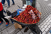 Ein Kind schläft in einer Schubkarre mit Rambutan-Früchten, die auf dem Markt in Otavalo, Ecuador, verkauft werden.