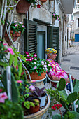 Mature man sitting outside a house decorated with numerous plants and pots, Monopoli, Italy