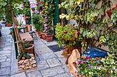 Numerous plants and pots decorate a facade in Monopoli, Italy
