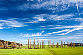 Lush green fields and tall trees define the riparian forest in Montejaque. Bright blue skies highlight the natural beauty of the area.