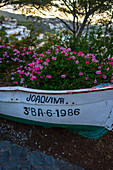 Boat filled with purple flowers in Tossa de Mar, Spain