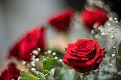 Bright red roses are beautifully arranged with small white flowers and greenery, creating an elegant display in a cozy environment.
