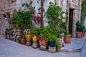 Numerous plants and pots decorate a facade in Monopoli, Italy