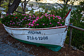Boat filled with purple flowers in Tossa de Mar, Spain