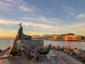 Bronze sculpture of sea lions on the marina breakwater at Loreto, Baja California Sur, Mexico. The malecon and Hotel Mision in the distance.