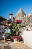 UNESCO World Heritage site Rione Monti trulli district in Alberobello, Puglia, Italy
