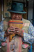 An indigenous Amerindian Quechua man plays the traditional siku or zampoña in Otavalo, Ecuador.