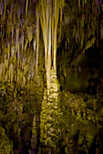 Stalactites, stalagmites & a column in the Big Room in Carlsbad Caverns National Park, New Mexico.