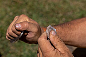A man demonstrates starting a fire with flint and steel at the Fort Bridger Mountain Man Rendezvous in Wyoming. Note the sparks produced from striking the flint with the steel.