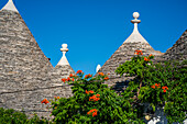 UNESCO World Heritage site Rione Monti trulli district in Alberobello, Puglia, Italy