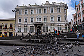 A man feeds the pigeons on the San Francisco Plaza in the historic center of Quito, Ecuador. Behind is the Gangotena Palace, now the Casa Gangotena Boutique Hotel.