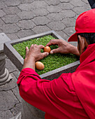 A man trying to balance an egg on its end at the equator in Mitad del Mundo, Ecuador.