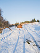 Aerial view of snowy Visbaras lake with a peaceful cabin surrounded by tranquil trees on a serene hill, Moletai, Lithuania.