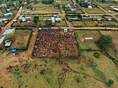 Aerial view of tribal animal market with cattle and livestock in a rural village, Kako, Southern Nations Nationalities and Peoples' Region, Ethiopia.