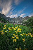 Luftaufnahme von leuchtend gelben, blühenden Blumen im Vordergrund, die im Kontrast zu den hoch aufragenden, zerklüfteten Bergen unter einem gestreiften Himmel stehen, Zakopane, Polen.