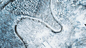 Aerial view of a serpentine road winds through a snow-laden forest, contrasting the dark asphalt with the pristine white of the surrounding trees, Mt. Kurohime, Nagano, Japan.