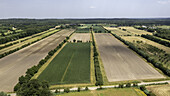 Aerial view of patchwork fields of vibrant greens and earthy browns divided by thin lines of trees, painting a rural landscape, Werkhoven, Utrecht, Netherlands.