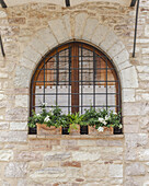 Blick auf ein bogenförmiges Fenster mit Eisenstäben und durchsichtigen Vorhängen, das mit Blumenkästen geschmückt ist, die mit leuchtend grünen Pflanzen und weißen Blüten überquellen, Spello, Umbrien, Italien.