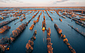 Aerial view of the Mondriaan-like landscape of narrow canals and strips of land, a golden-roofed structure nestled amidst bare trees, Scheendijk, Breukelen, Utrecht, Netherlands.