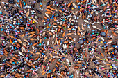 Aerial view of a bustling animal market, where vivid colors of clothing contrast with the earthy tones of livestock, capturing the vibrant trade, Mahasthan, Rajshahi Division, Bangladesh.