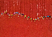 Aerial view of red chili pepper processing with people working in traditional clothing, Fulbari, Sariakandi, Rajshahi, Bangladesh.