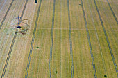 Aerial view of agricultural field with beautiful green lines and natural texture, Wittgendorf, Sachsen-Anhalt, Germany.
